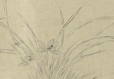 图片[2]-Orchids in Double Outlines-China Archive